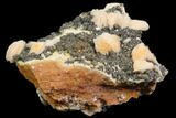 Cerussite Crystals with Bladed Barite on Galena - Morocco #82343-1
